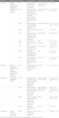The roles of chemokines following intracerebral hemorrhage in animal models and humans